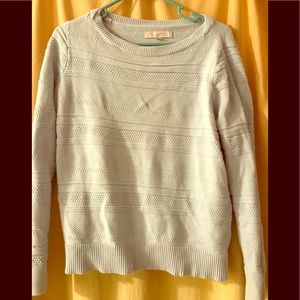 Baby blue Loft sweater